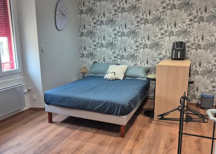 La Moutonnerie Διαμέρισμα Saint-Affrique